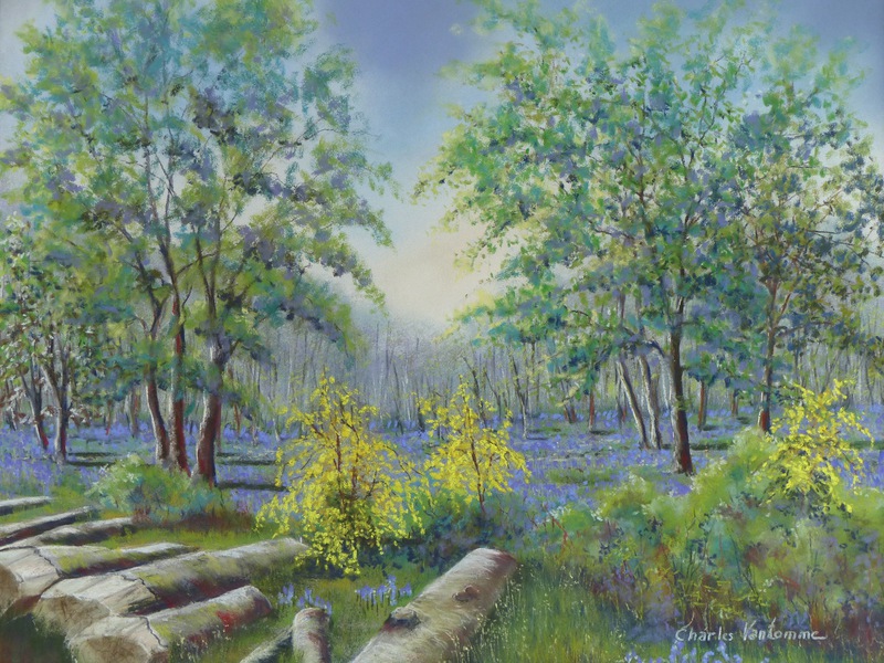 Jacinthes et genêts