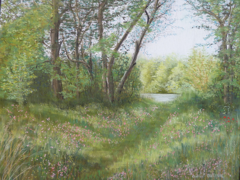 Lumière sur l'étang