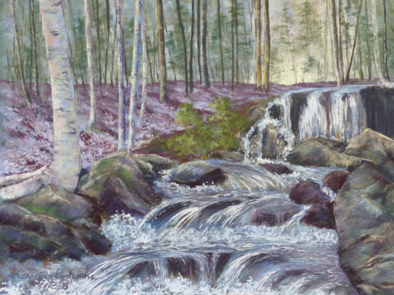 Parc écologique, Shefford, Québec