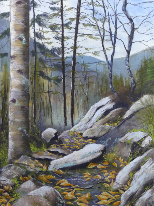 Retour du belvédère