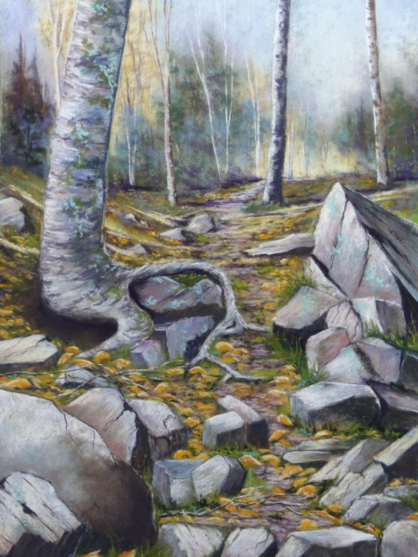 Sentier du belvédère