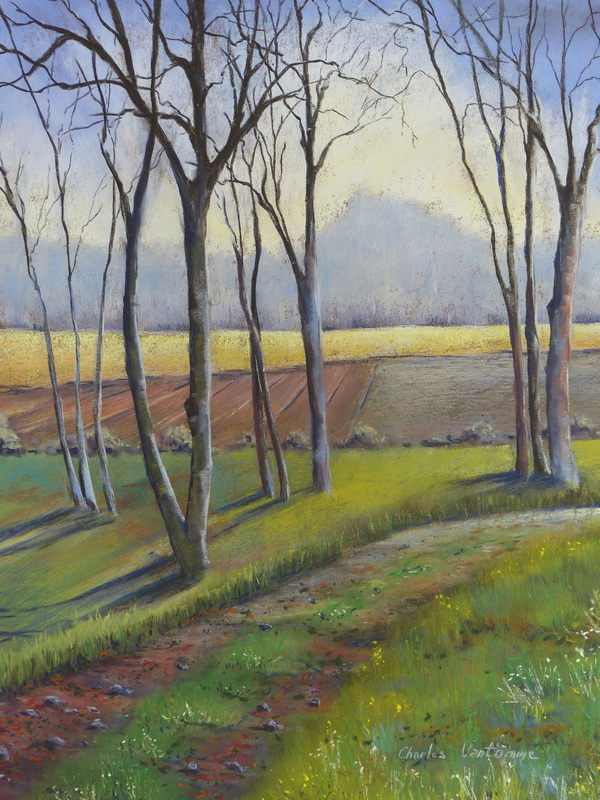 Fin de journée d'hiver